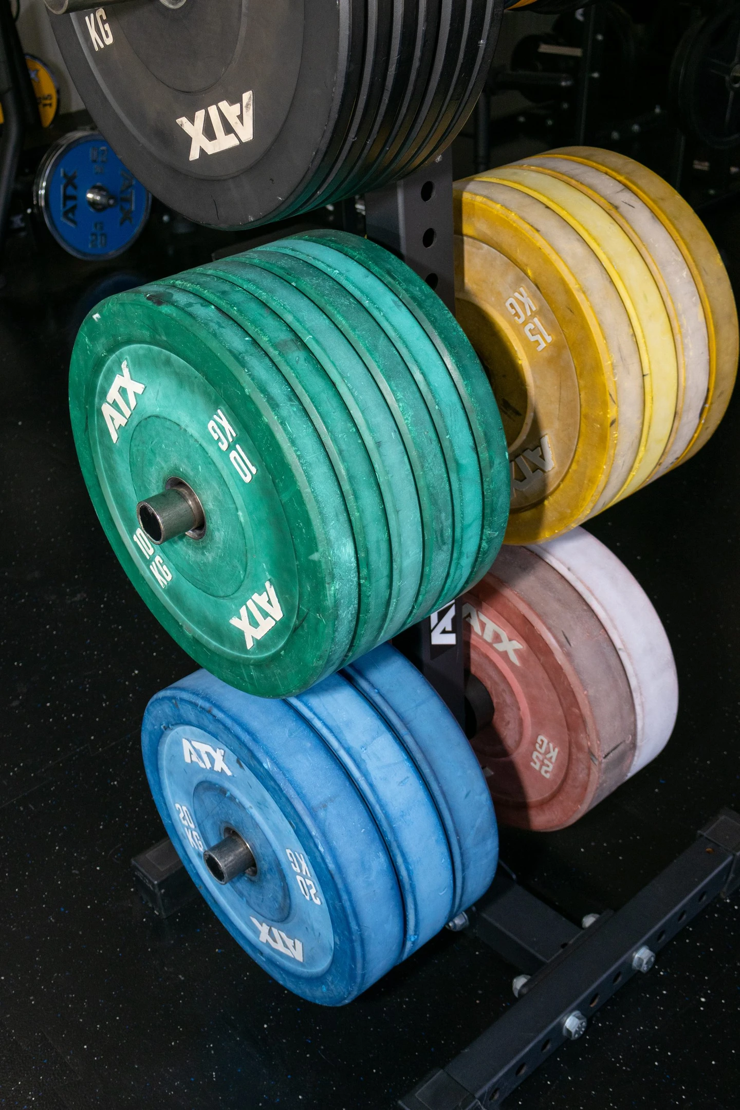 Halterschijven in het rek in de sportschool